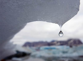 Cambio Climático